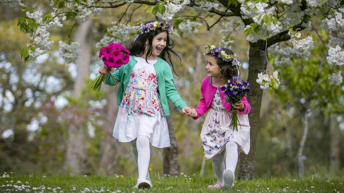 Festivities are virtual for second year running — but it's all still Blooming lovely - Vimarsana News