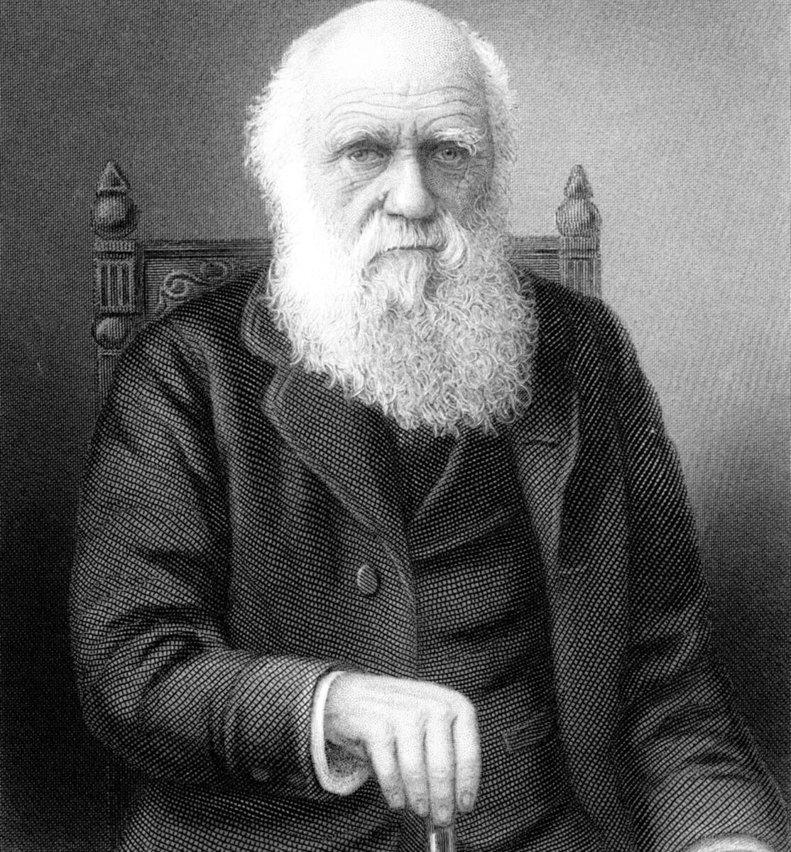 British naturalist Charles Darwin who developed the theory of evolution by natural selection. Photo: Time Life Pictures/Mansell/Time Life Pictures/Getty Images British naturalist Charles Darwin who developed the theory of evolution by natural selection. Photo: Time Life Pictures/Mansell/Time Life Pictures/Getty Images
