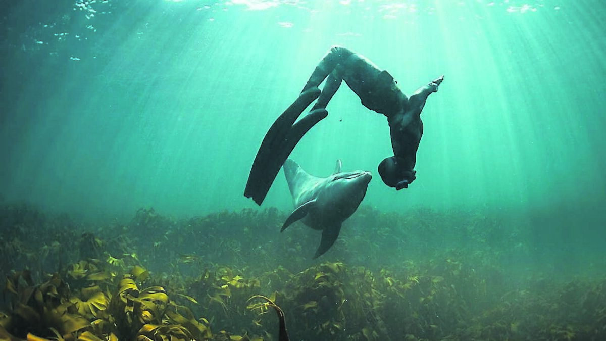Joyce Fegan: World Ocean Day a timely reminder that the seas face a grave threat - Vimarsana News