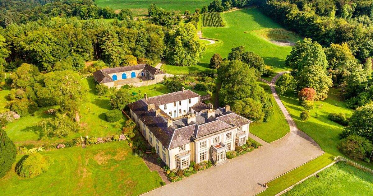 Wealthy Irish dominating Covid year's Irish country homes market