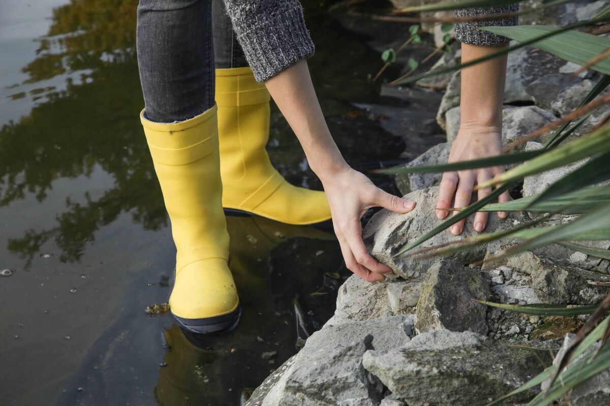 Fill the pond before you cut your liner.Pictures: iStock
