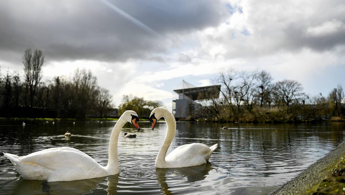 A BARA spokesman said: “Turning a public green area near a greenway and the hugely popular Marina and Atlantic Pond into car and bus parking for these business ventures would be a negative move for the people of Cork". Photo: Eóin Noonan/Sportsfile