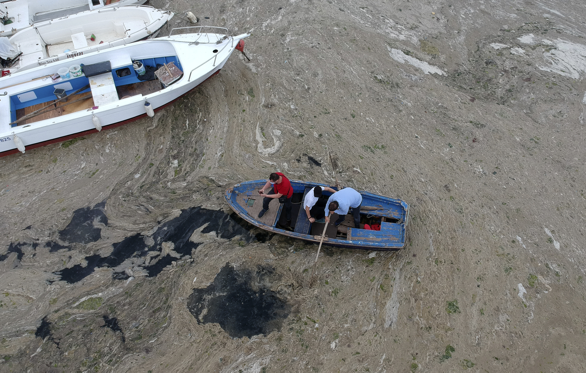 Turkish president vows to save sea from ‘sea snot’ outbreak