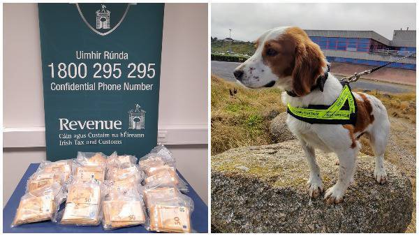 The search, carried out with the assistance of Revenue’s mobile x-ray scanner and Detector Dog Gus, led to the discovery of the cash. Picture: Revenue
