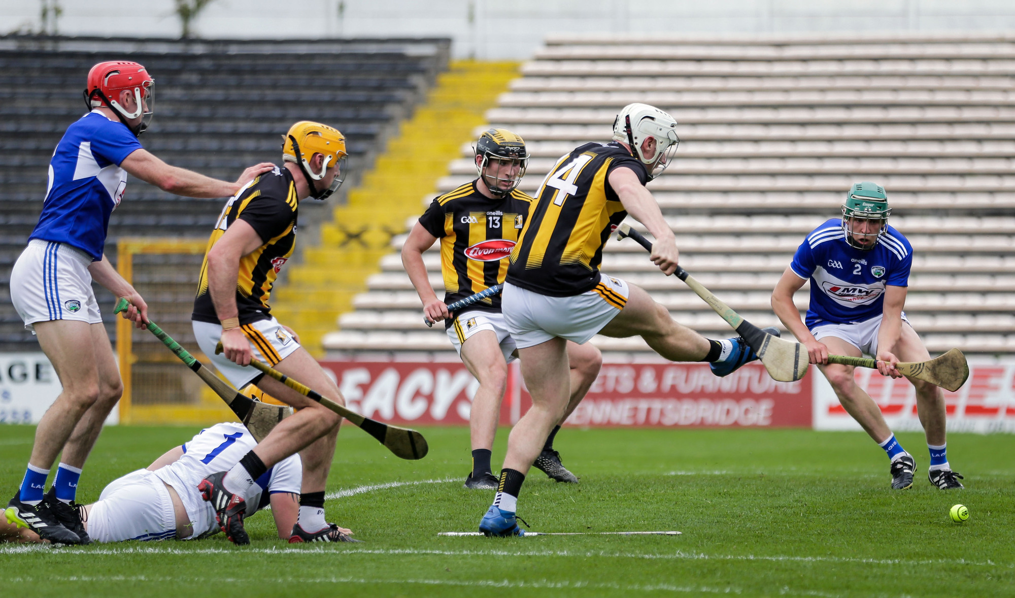 Liam Blanchfield goal helps Kilkenny down brave Laois fight