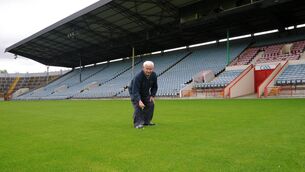<p>A LABOUR OF LOVE: Tommy Lynch checking up on the Pairc Ui Chaoimh pitch in the old stadium. Picture: George Hatchell</p>