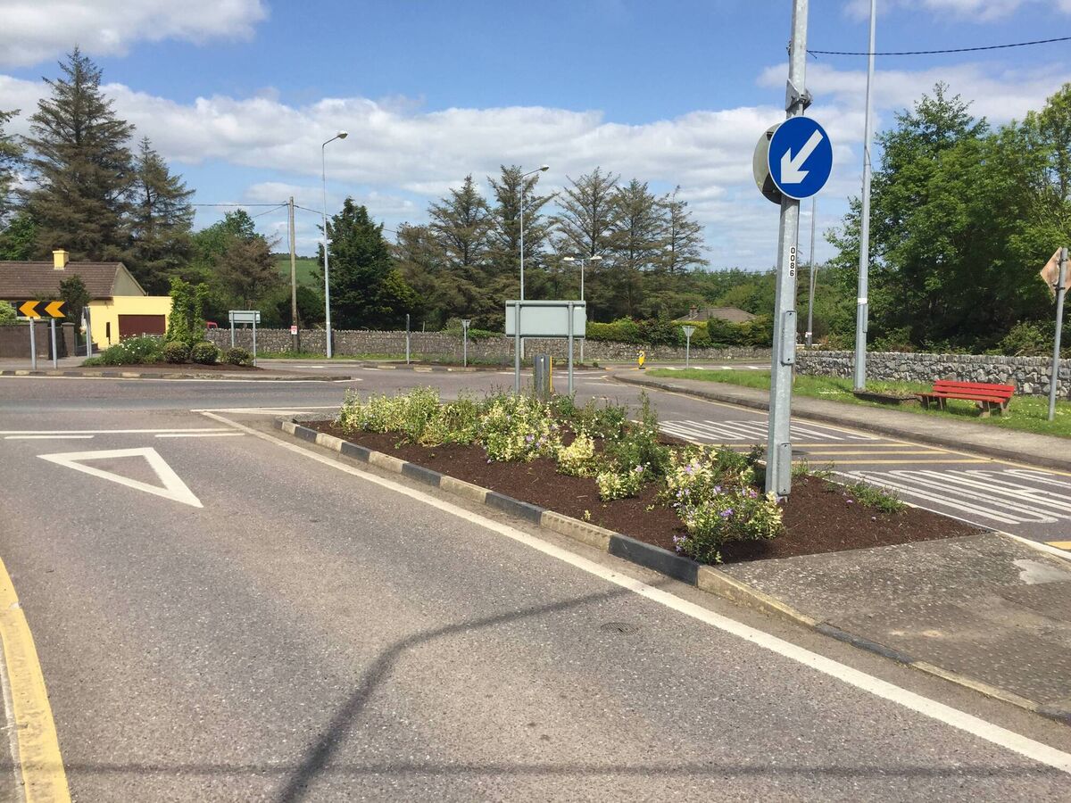 BioMarin have ‘adopted’ the Shanbally village roundabout and supports the upkeep of the local area.