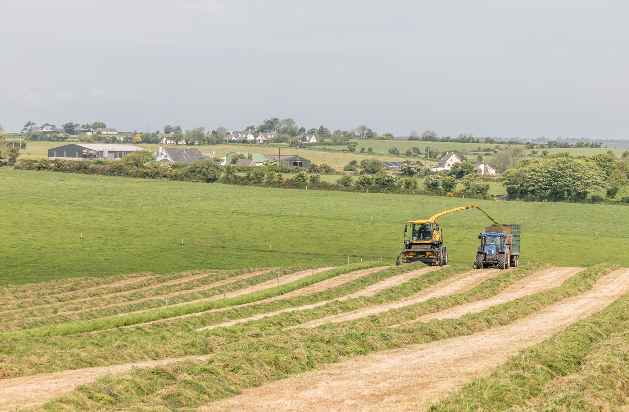 Silage cutting in Co Cork. If you are engaging contractors, it is important that you are aware of your contractual relationship with them. Picture: David Creedon. 