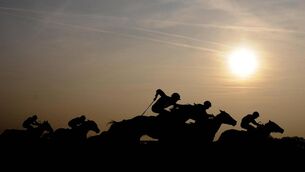 <p>Bred and owned by the Aga Khan, this filly is a daughter of dual Derby-winner Harzand and shaped like a future winner on her recent debut at the Curragh</p>