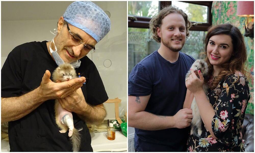 The Supervet meets Astrid, a young ferret with a bundle of energy. He says "this little lady needs to take it easy while she recovers from the delicate surgery to repair her tibia fracture - not so simple when you are a ferret mischief-maker".