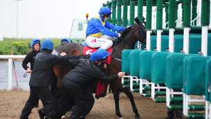 <p>Stalls handlers loading their final two runners of the evening at Dundalk. Picture: Healy Racing</p>