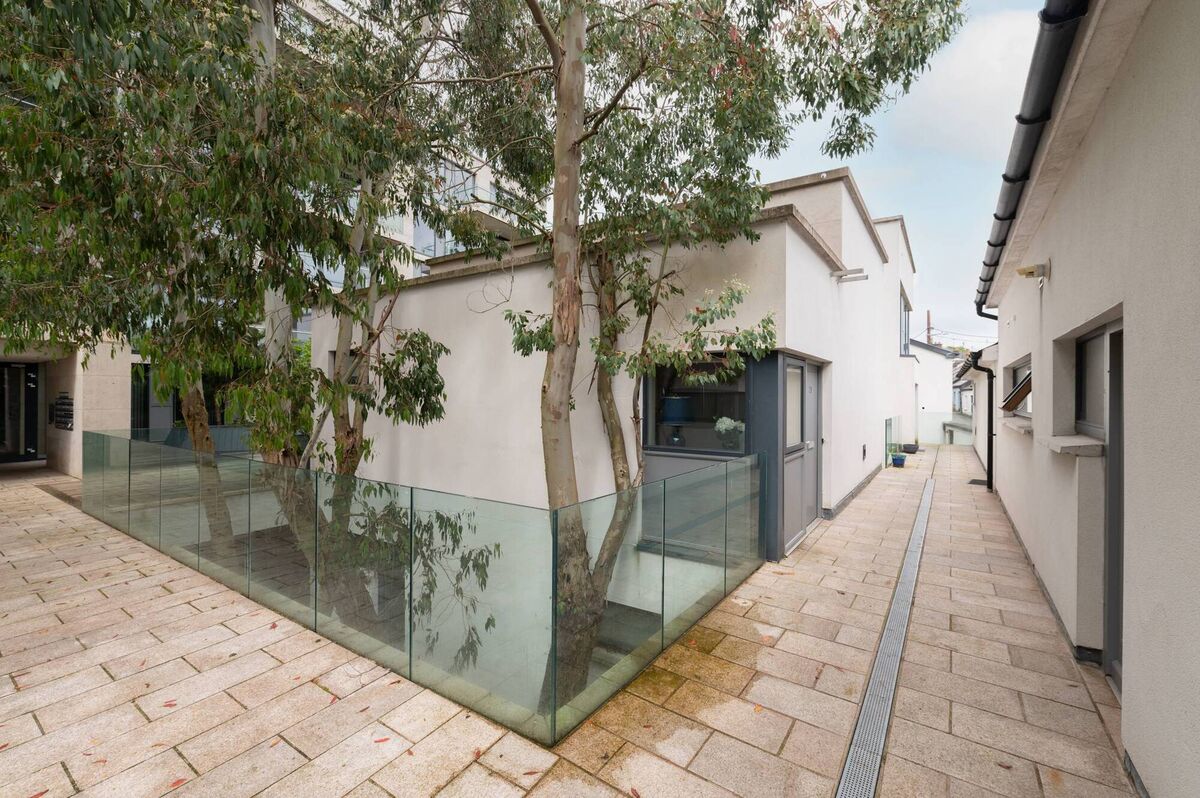 No 29 Altus is entered on its upper level, with bedrooms below looking out on the trunks of these eucalyptus trees