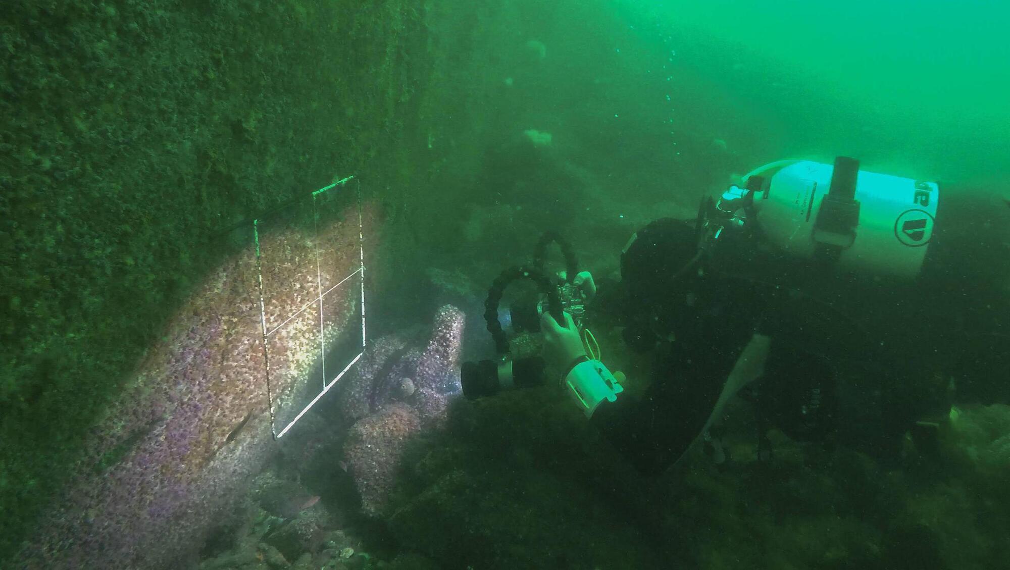 A survey being carried out at the underwater cliffs at Lough Hyne. Picture: Professor Rob McAllen.