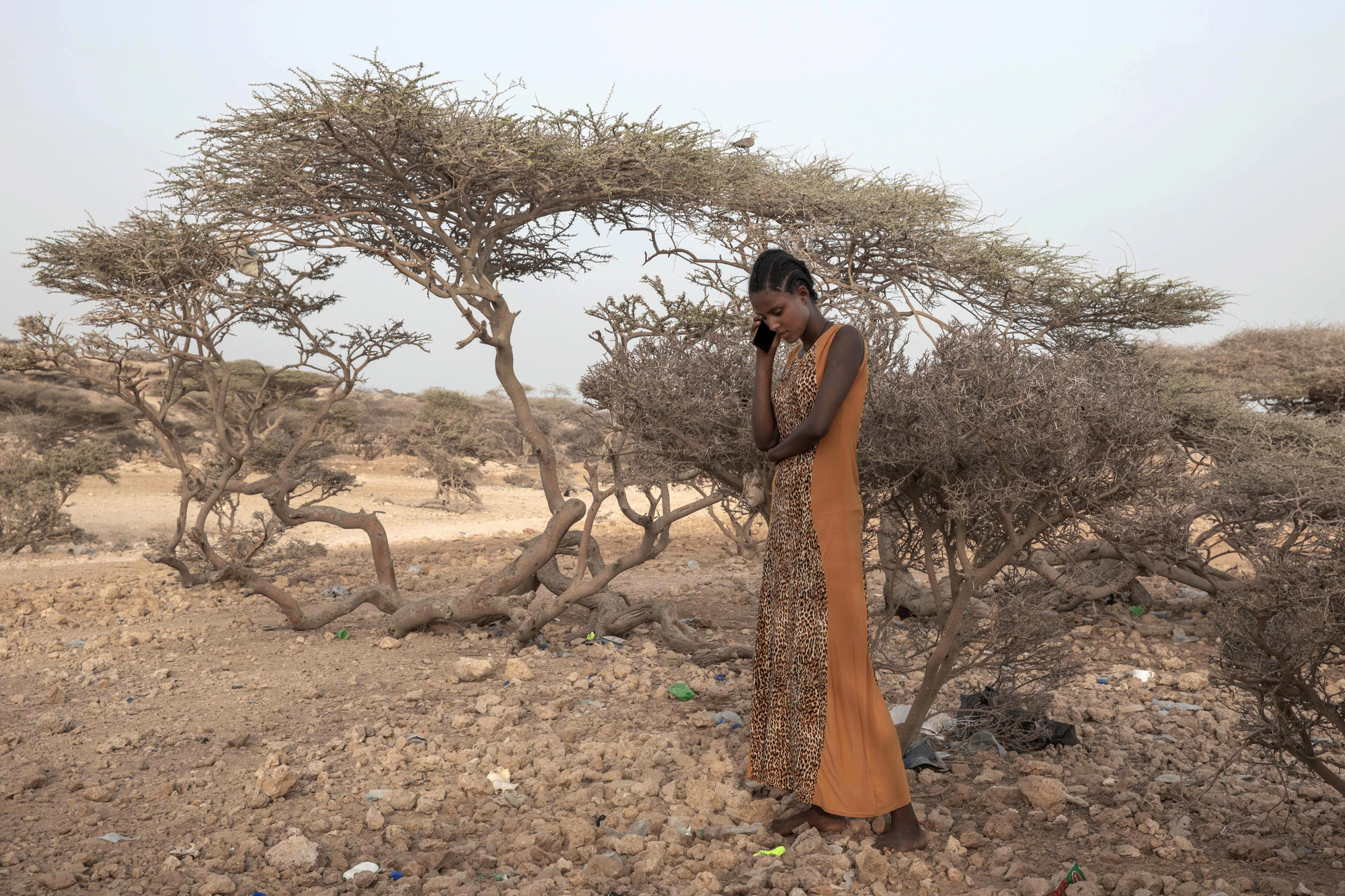 Ethiopia’s leaders said they intend to wipe out Tigrayans, claims EU envoy