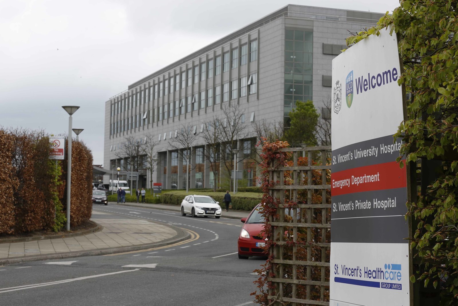Public ownership of National Maternity Hospital a 'red line issue'