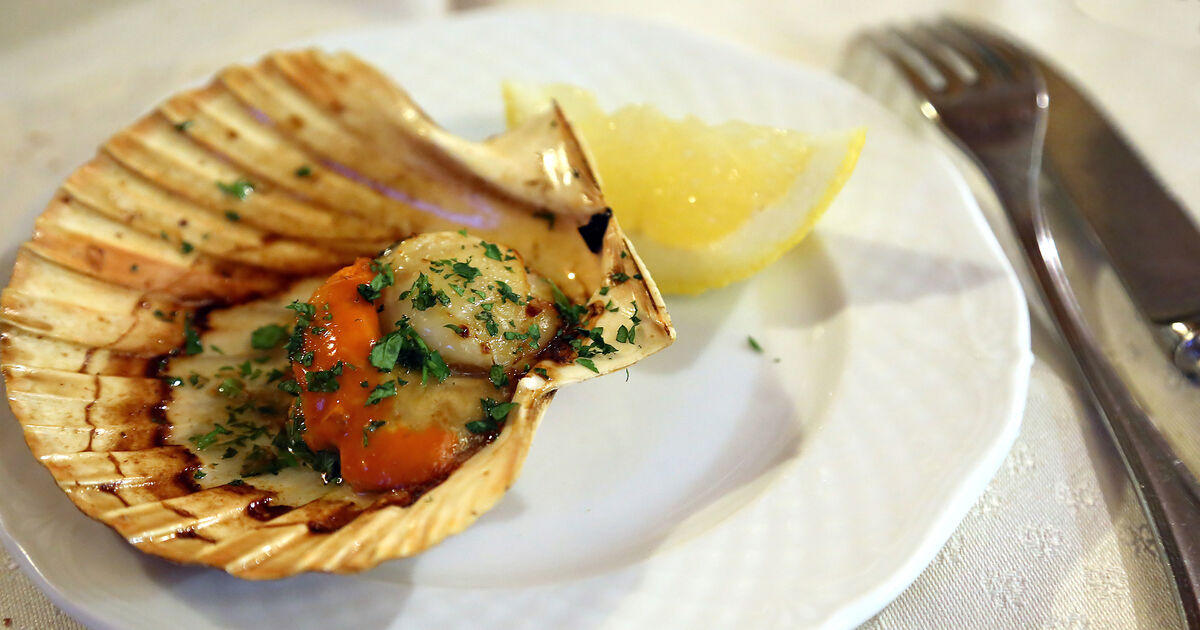 Scallops Shell Out Scallops in their shells with thyme