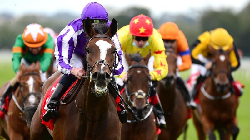 Horse racing tips: High Heels can rise to the occasion in Oaks Trial at Naas