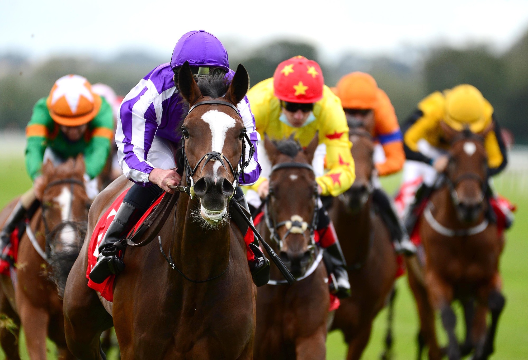 Horse racing tips: High Heels can rise to the occasion in Oaks Trial at Naas