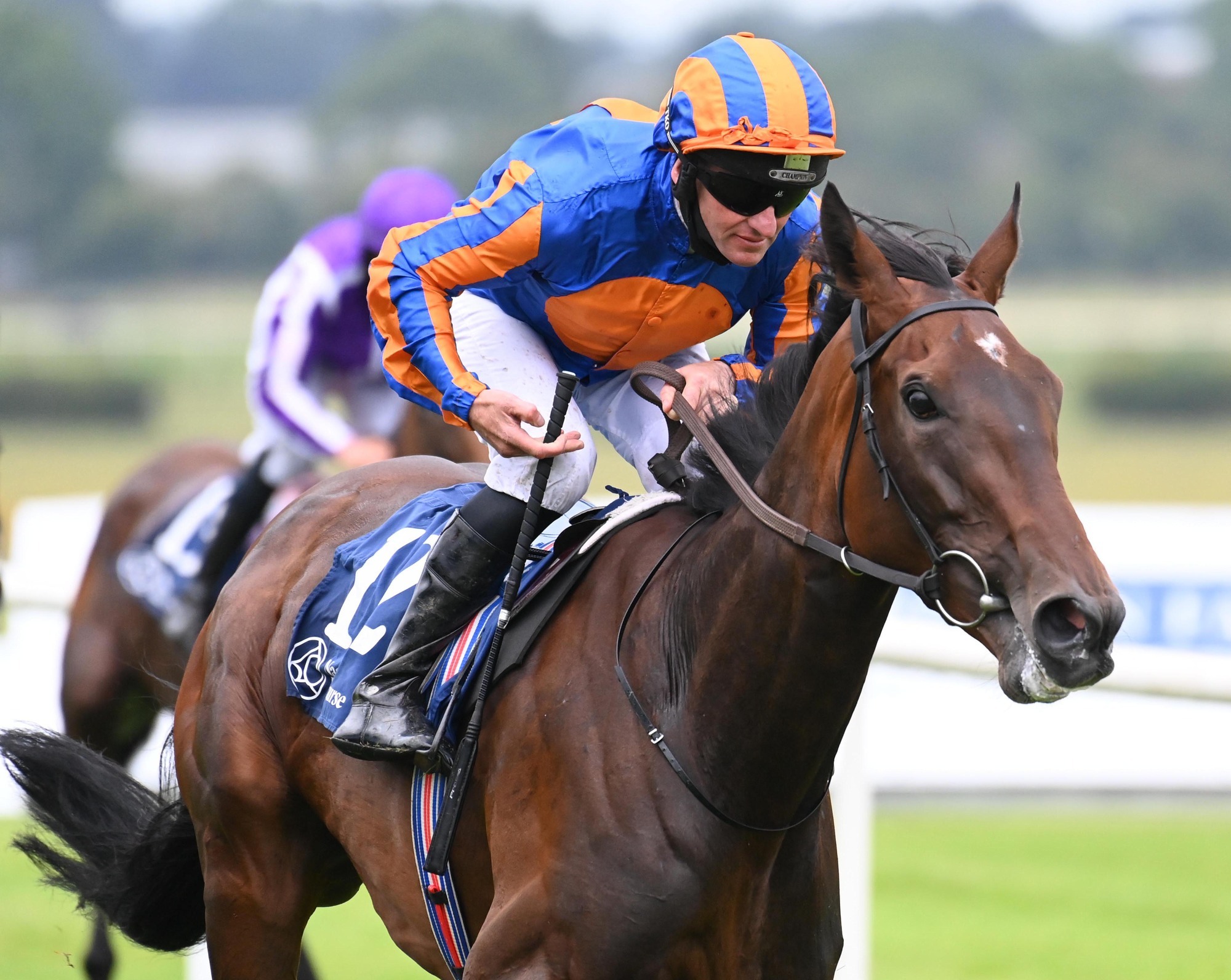 Willow back to winning ways in Naas Oaks Trial