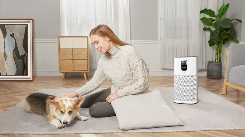 No-frills Proscenic A9 air purifier does exactly what it says on the tin
