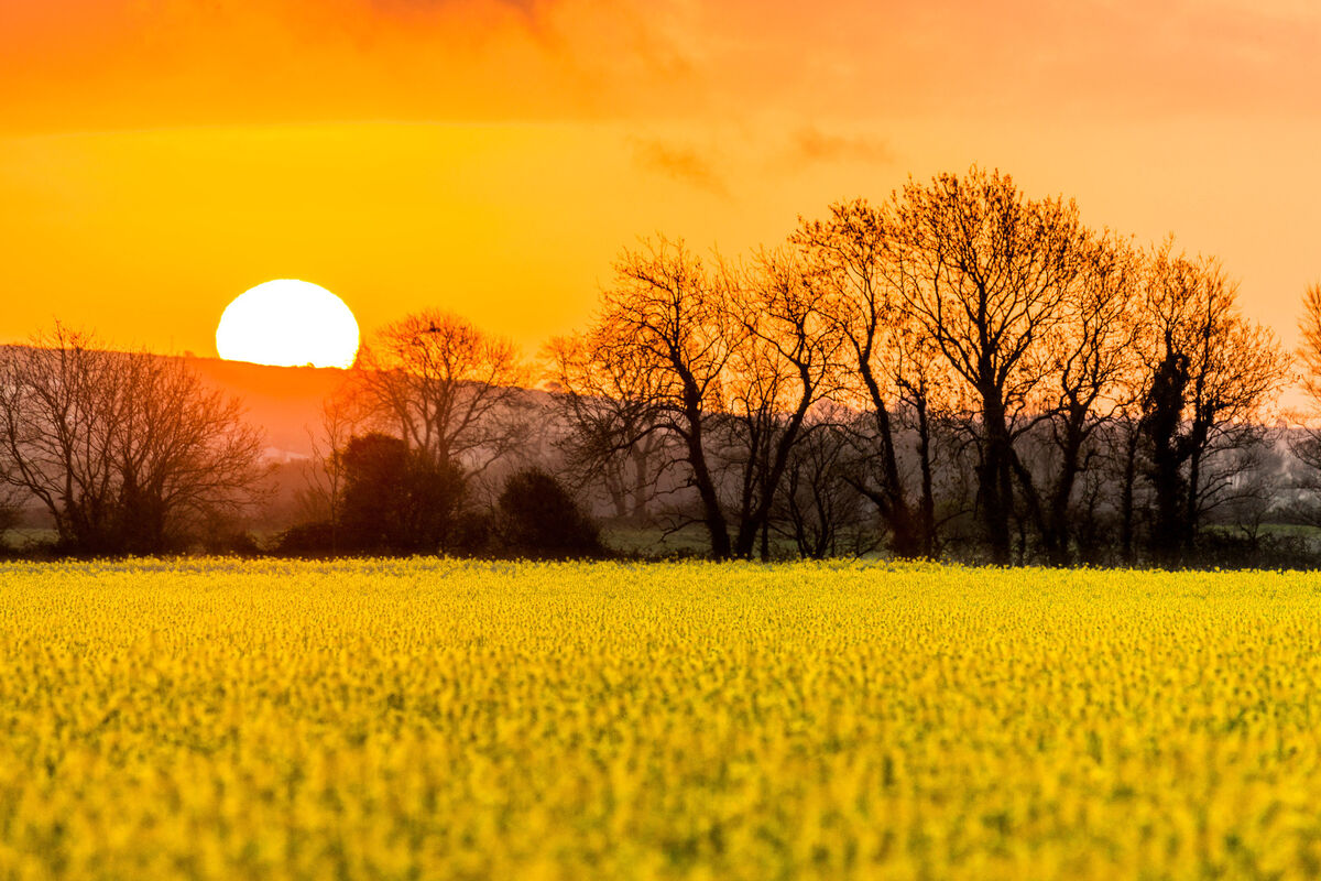 Sunrise at Ballymaloe