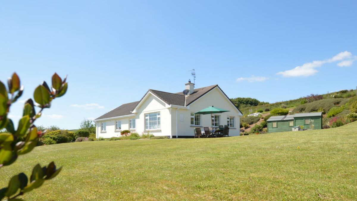 They planted 1500 shrubs in two weeks at this sweet East Cork home - Vimarsana News
