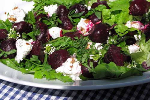 Roast beetroot with Ardsallagh goat cheese and balsamic vinegar