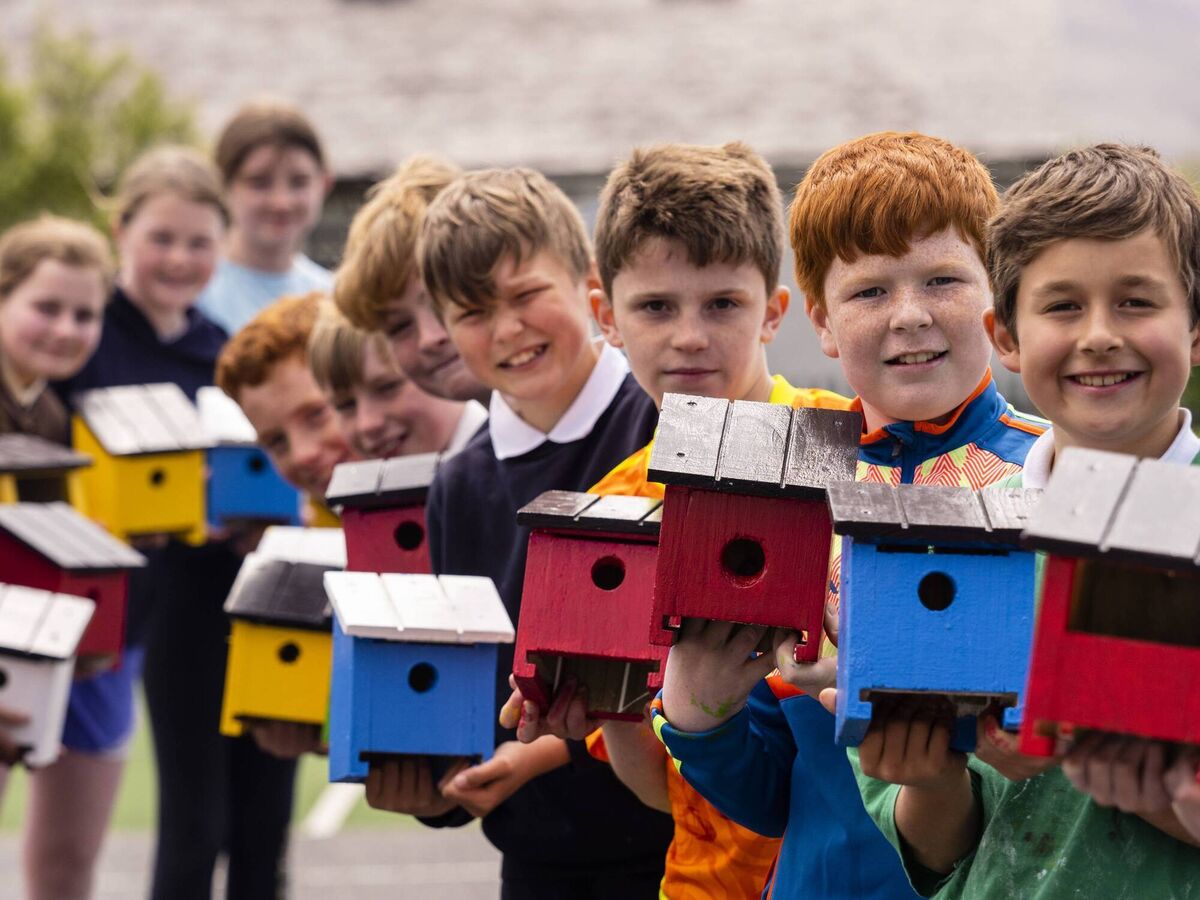 5th Class pupils from Scoil Mhic Easmainn, Tralee, winners of the Junior Entrepreneur Programme Community Champions Award, with their class project, An Nead. The class came up with the idea during lockdown when they became more aware of the importance of nature and wanted to help biodiversity. They sold 330 units and made a profit of €2,040.