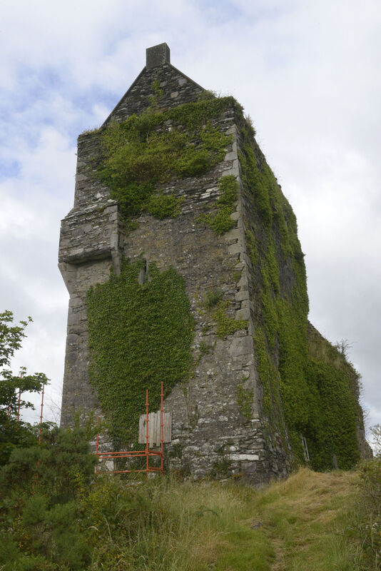Pictured at Carrignacurra Castle, Inchigeela, Cork The castle is the last known standing castle of the O'Leary clan and pictured launching the reconstuction project was Tom Carlson in knights dress. Picture Denis Boyle