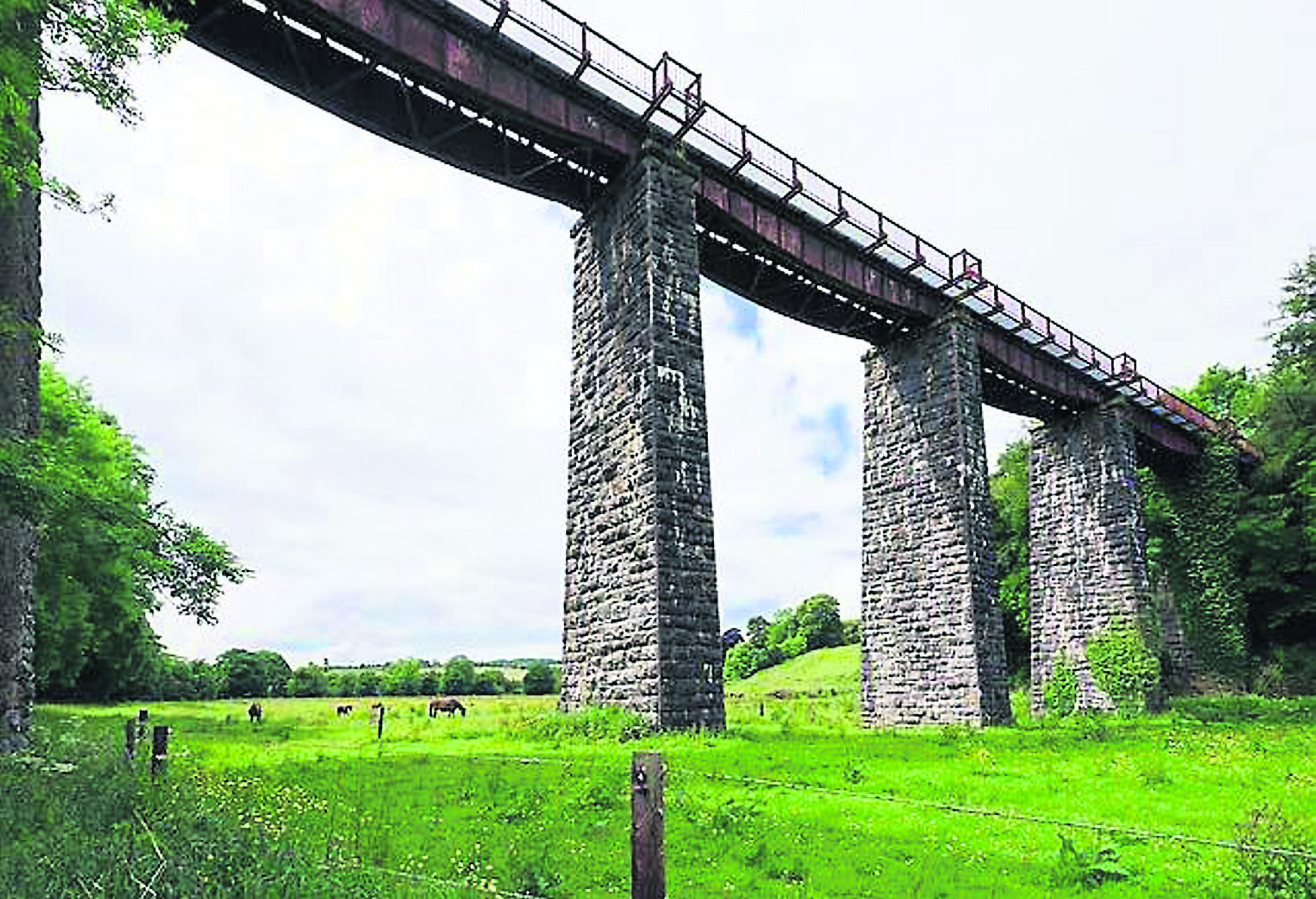 Mallow to Dungarvan Greenway study could take two years to complete 