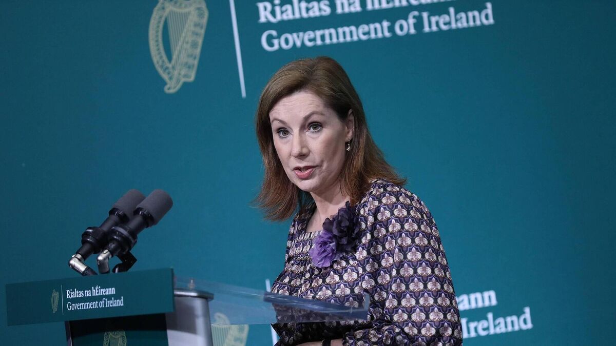 Minister tells D&aacute;il she is a survivor of sexual assault in 'powerful' speech