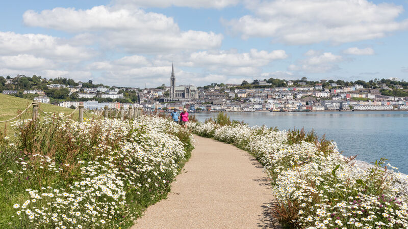 Renewed effort to protect the environment and its rich natural heritage 