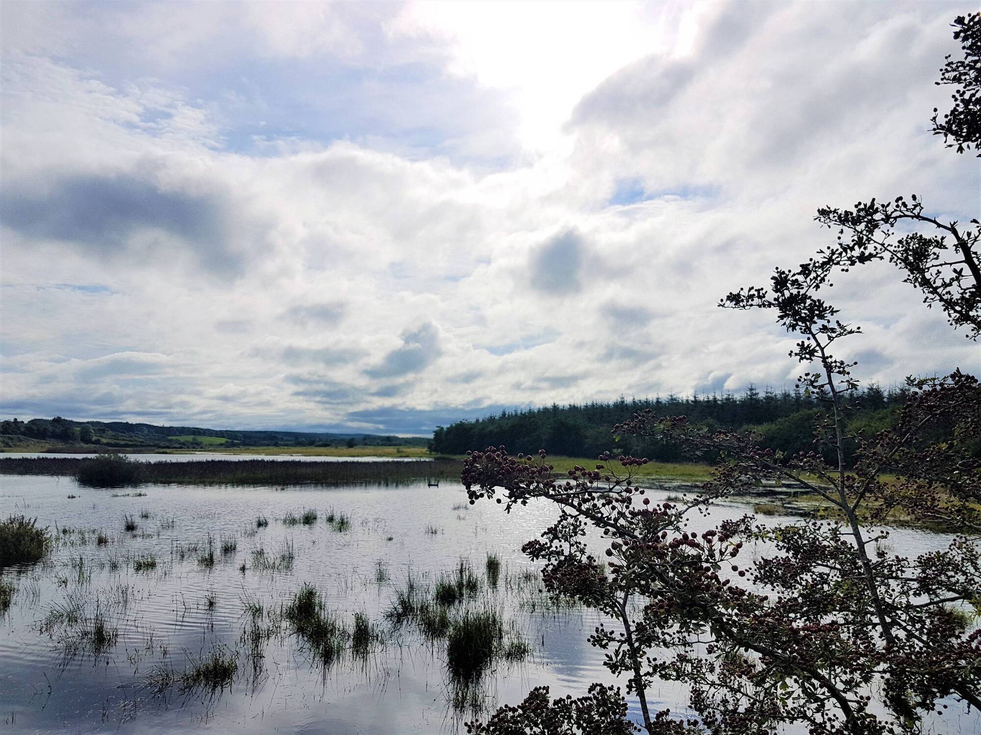 CAP reform will bring new conditionality requirements for the protection of wetlands and peatlands. File Picture. 