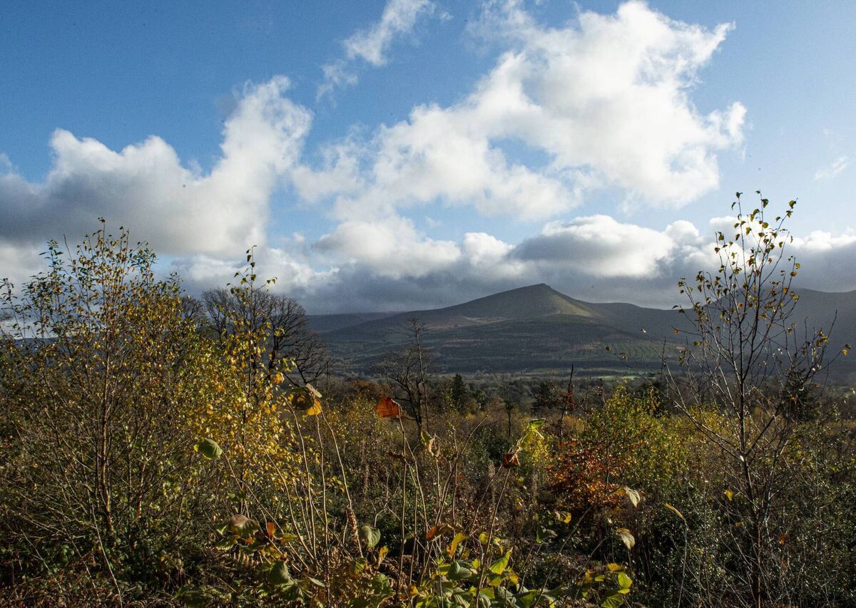Come to the Galtees, Patrick. 
