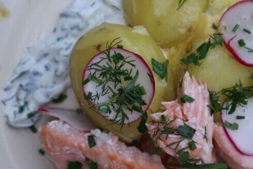 Roasted organic salmon with herbed crème fraîche