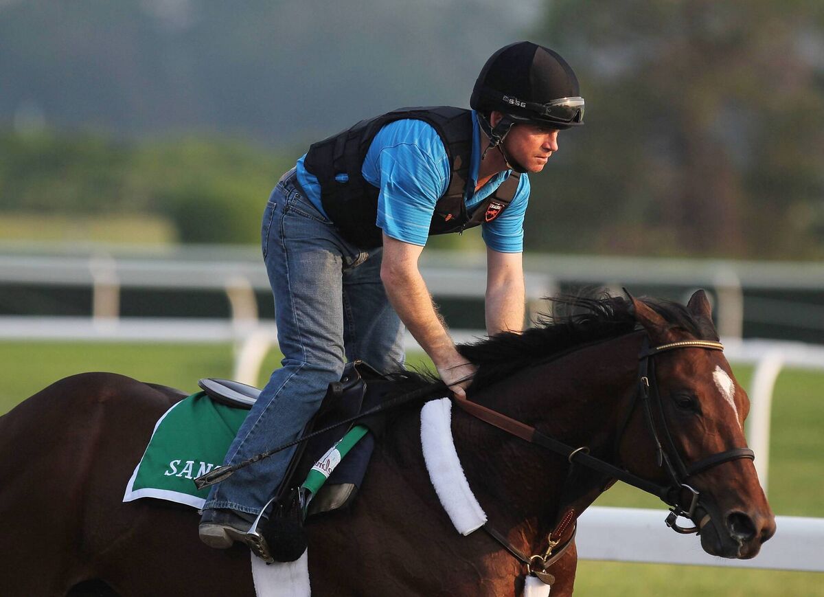 Santiva, ridden by Brendan Walsh in 2011 in Elmont, New York. (Photo by Al Bello/Getty Images)