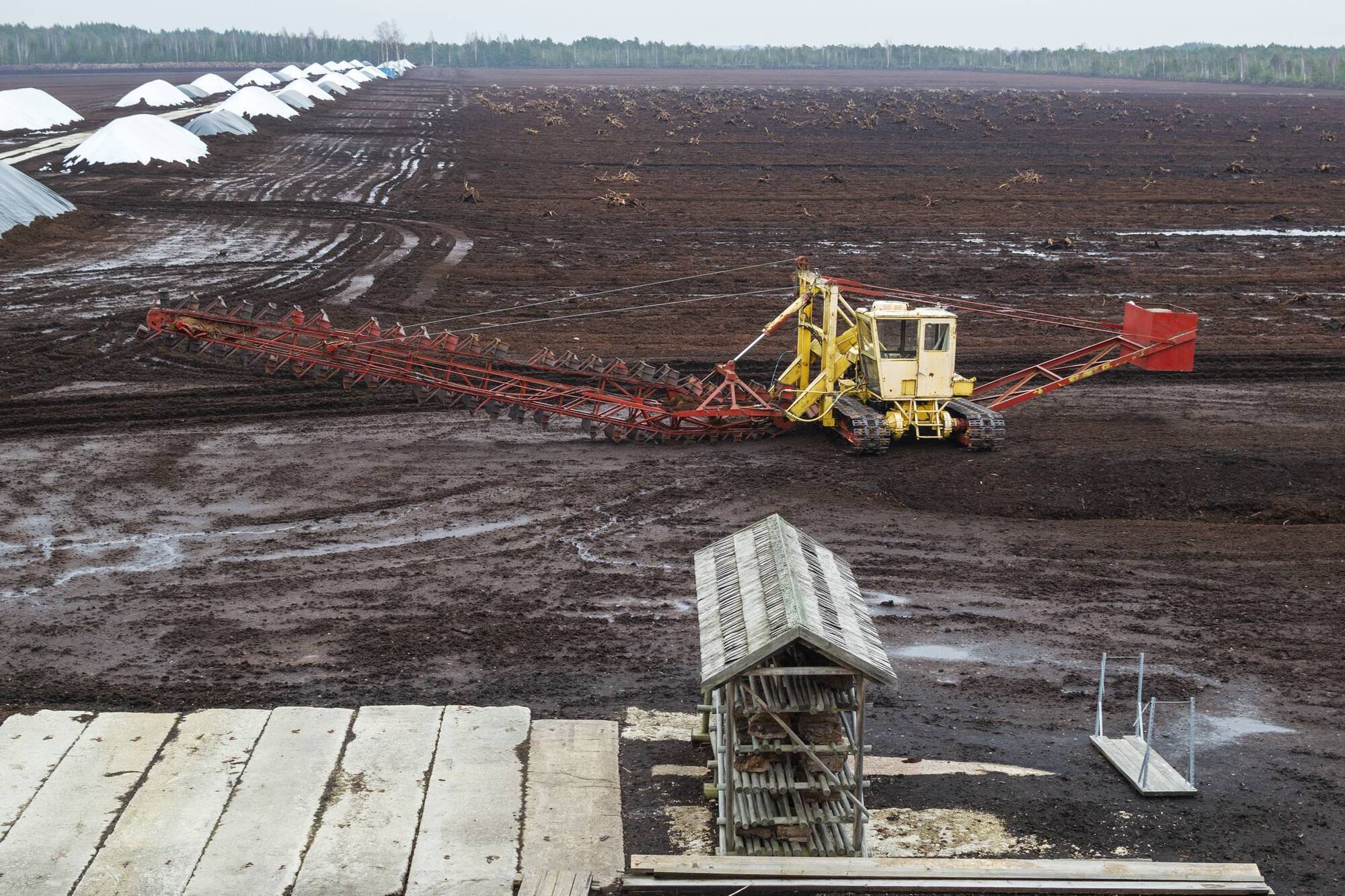 Thousands of jobs at risk as peat harvesting restrictions create crisis in horticulture sector
