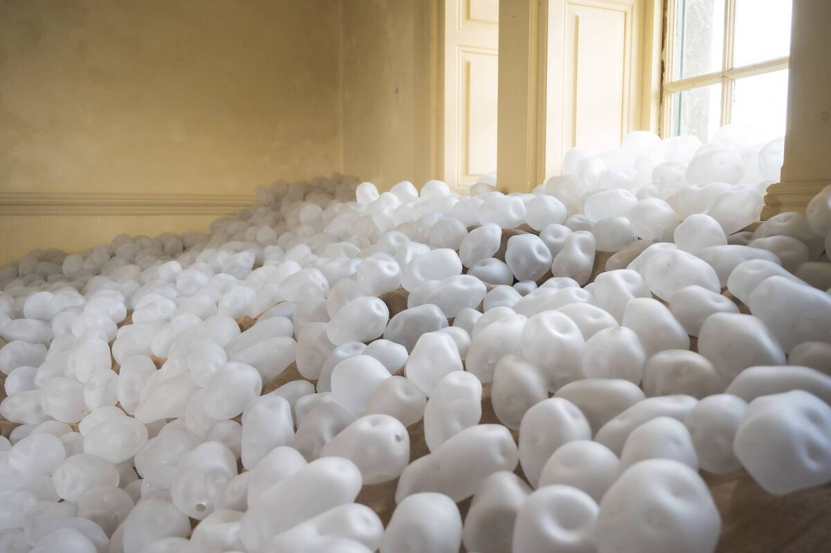 Each glass potato was hand-blown and then sandblasted, creating a white appearance. Picture: Colin Shanahan Each glass potato was hand-blown and then sandblasted, creating a white appearance. Picture: Colin Shanahan