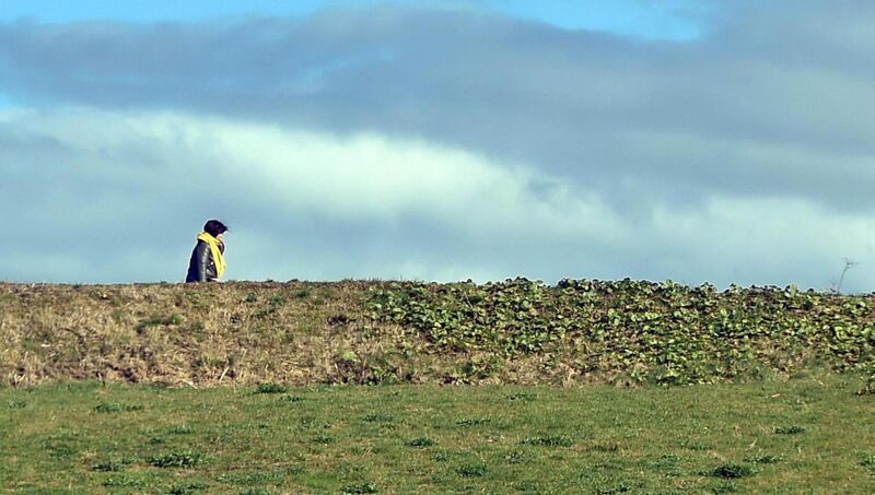 Walking in Tramore Valley Park, Cork: as little as ten minutes outside makes a difference. Pic: Eddie O'Hare