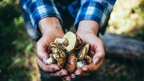 Horticultural growers protest over damage caused by peat restrictions
