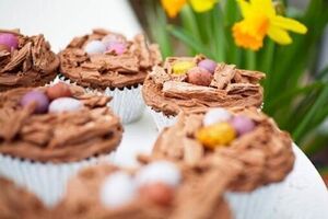 Easter egg nests