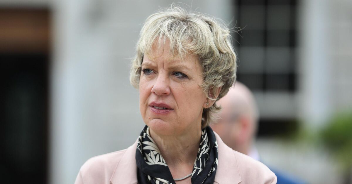 Irish Examiner view No wriggle room left for FG