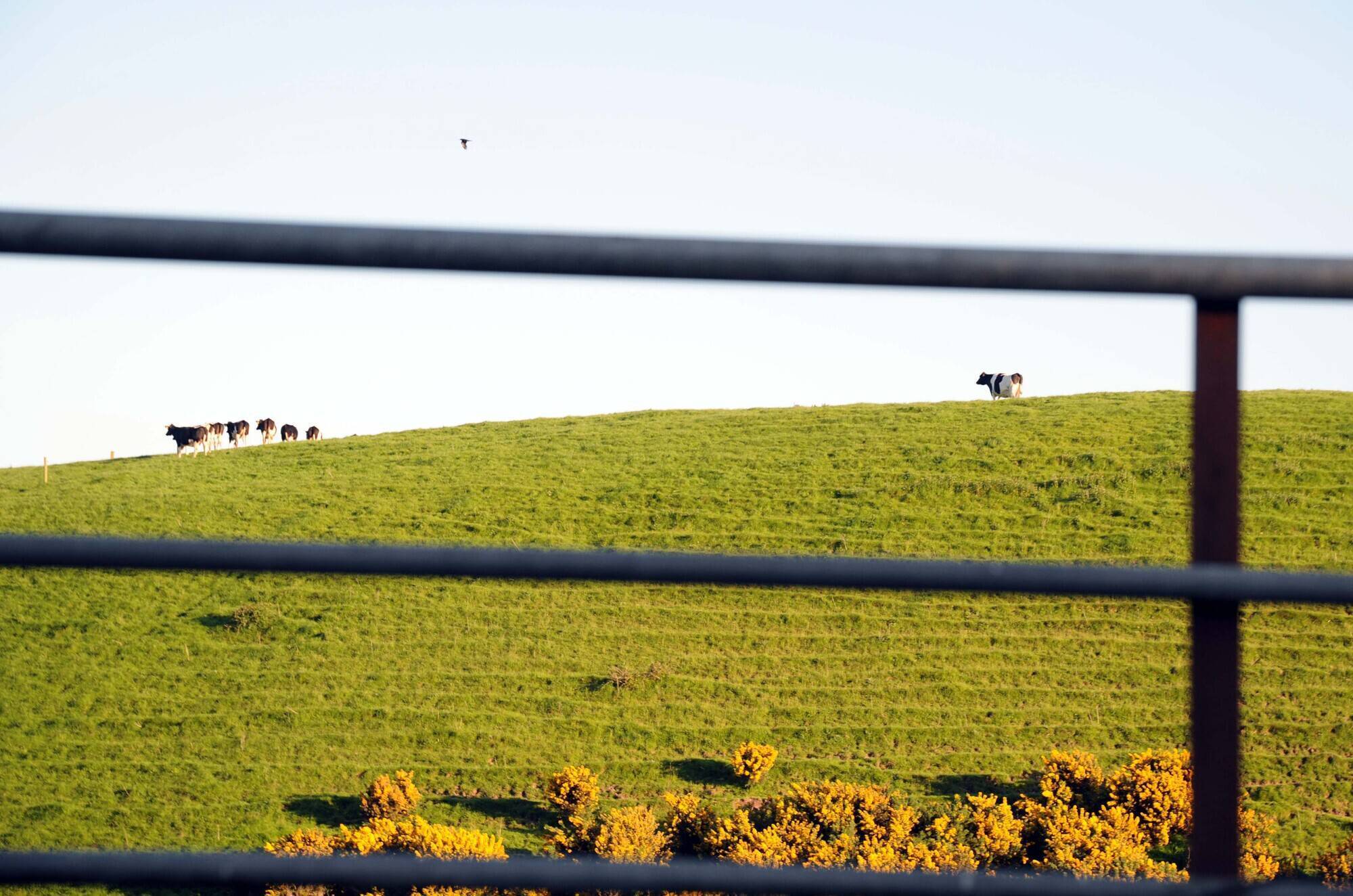 What are the legal options after an on farm injury?  