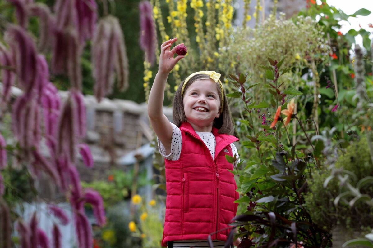 Be in awe of the heritage of your locality.