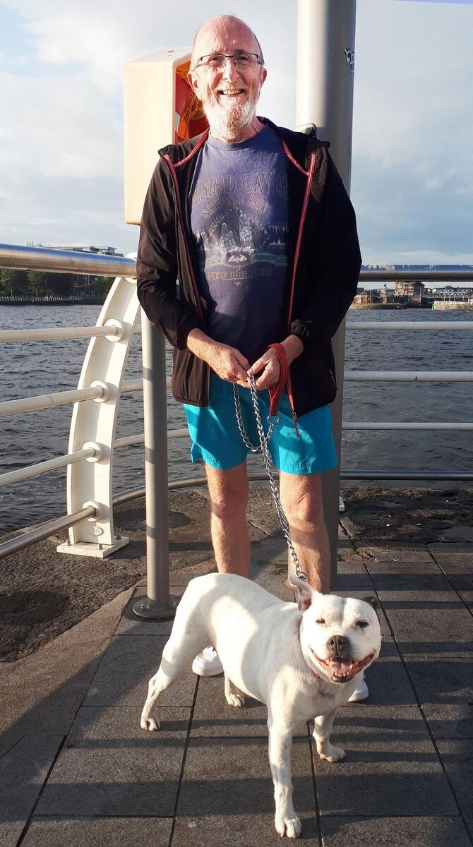 Former Independent councillor John Loftus had intended to enter Daphne into the first-ever election for Limerick's executive mayor role. 