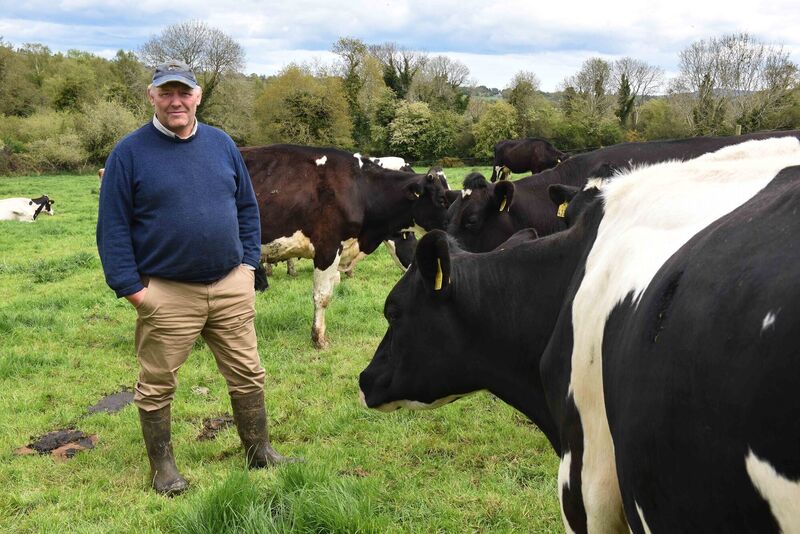 Stephen Arthur, dairy farmer, with his herd in Balinaclash, Co Wicklow; he says formula comprises 75% of total dairy exports to China. Picture: Moya Nolan Stephen Arthur, dairy farmer, with his herd in Balinaclash, Co Wicklow; he says formula comprises 75% of total dairy exports to China. Picture: Moya Nolan