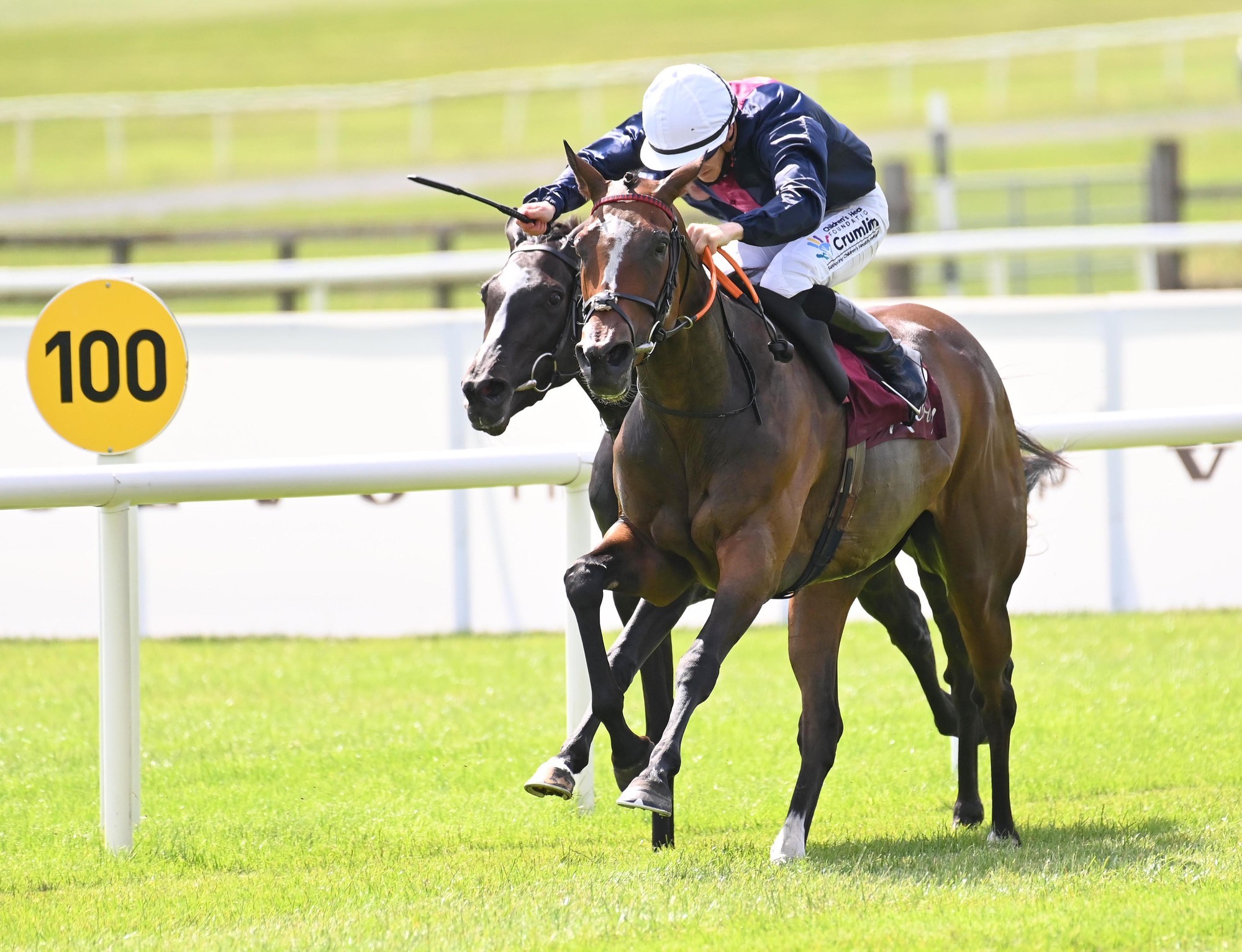 Classy Order Of Australia back to winning ways at the Curragh