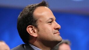 Varadkar: No point in electing anti-pylon candidates