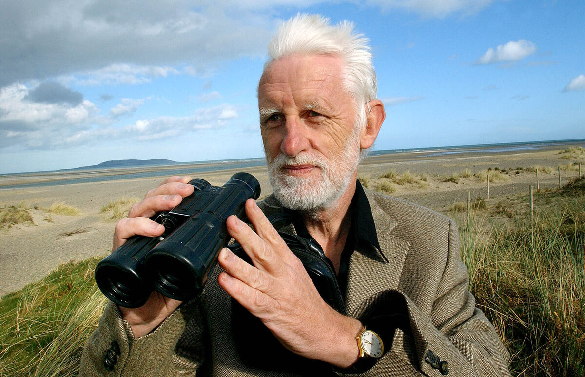 Richard Collins: 'A rival theory says that the sharks raise their body heat internally so as to swim faster.' Richard Collins: 'A rival theory says that the sharks raise their body heat internally so as to swim faster.'