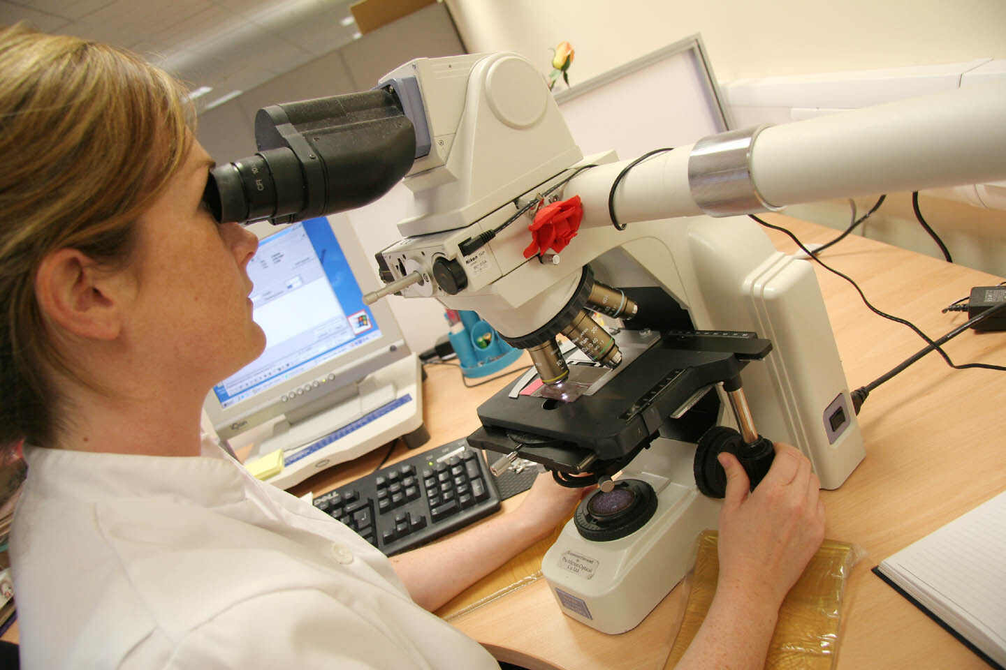200 women to be retested after CervicalCheck samples expire